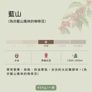 藍山 水洗 (仿藍山風味)