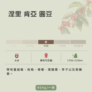 肯亞 涅里 喜莉可莊園 圓豆 水洗