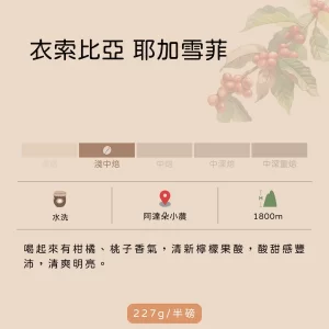 衣索比亞 耶加雪菲 阿達朵小農 水洗