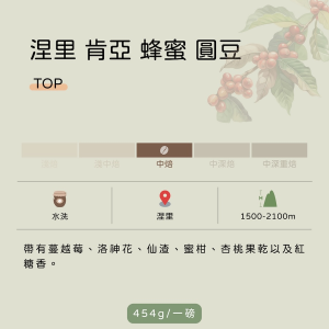 肯亞 涅里產區 蜂蜜 圓豆 TOP 水洗